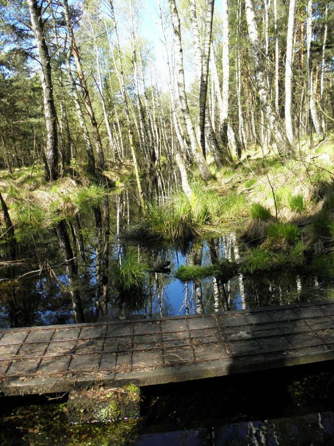 Ferienwohnung Fritzenwenger Übersee Exteriér fotografie
