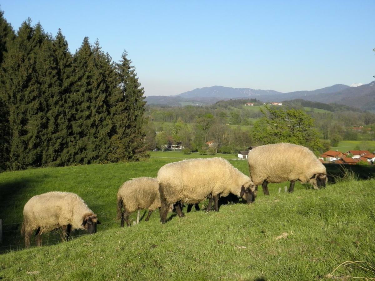 Ferienwohnung Fritzenwenger Übersee Exteriér fotografie